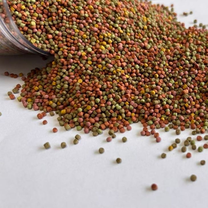 Parrot bird food